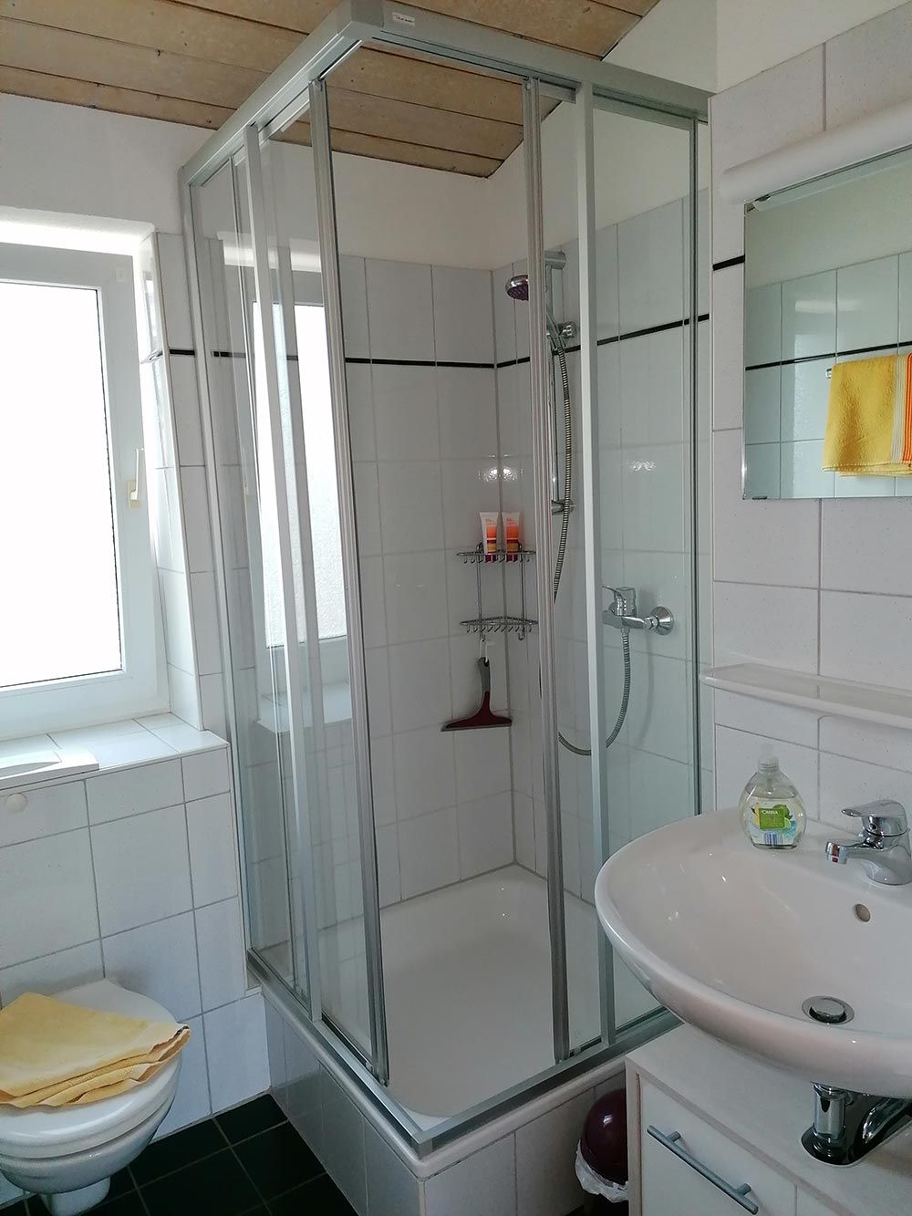 Ferienwohnungen Böhme Konstanz - Wohnung rechts