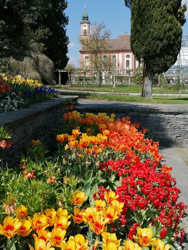 Konstanz im Frühling - Ferienwohnung Böhme